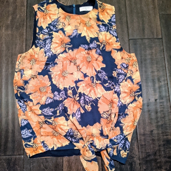 Summery Babaton Top 💕 - Picture 1 of 7